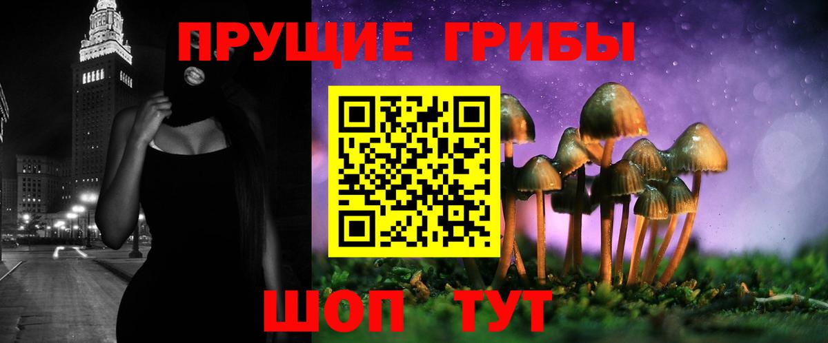 Псилоцибиновые грибы Psilocybine cubensis Татарск